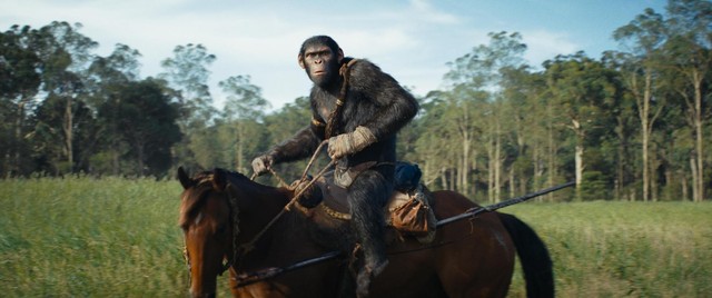 Hành Tinh Khỉ: Vương Quốc Mới - Kỹ xảo ấn tượng không kém Avatar, đáng tiếc kịch bản còn nhiều lỗ hổng - Ảnh 7.