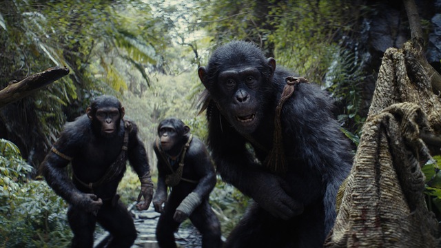 Hành Tinh Khỉ: Vương Quốc Mới - Kỹ xảo ấn tượng không kém Avatar, đáng tiếc kịch bản còn nhiều lỗ hổng - Ảnh 2.