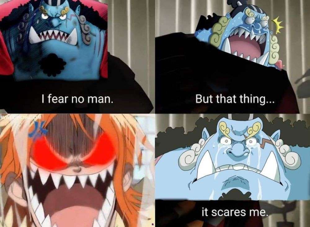 Những meme vui nhộn về việc Jinbe sợ Nami trong One Piece- Ảnh 2.