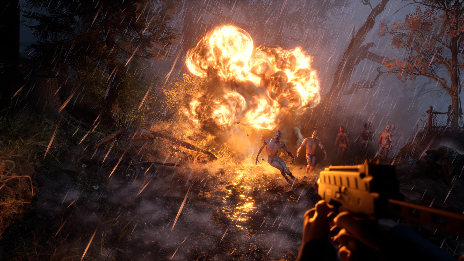 photo-1760329199989 photo-1760329199989