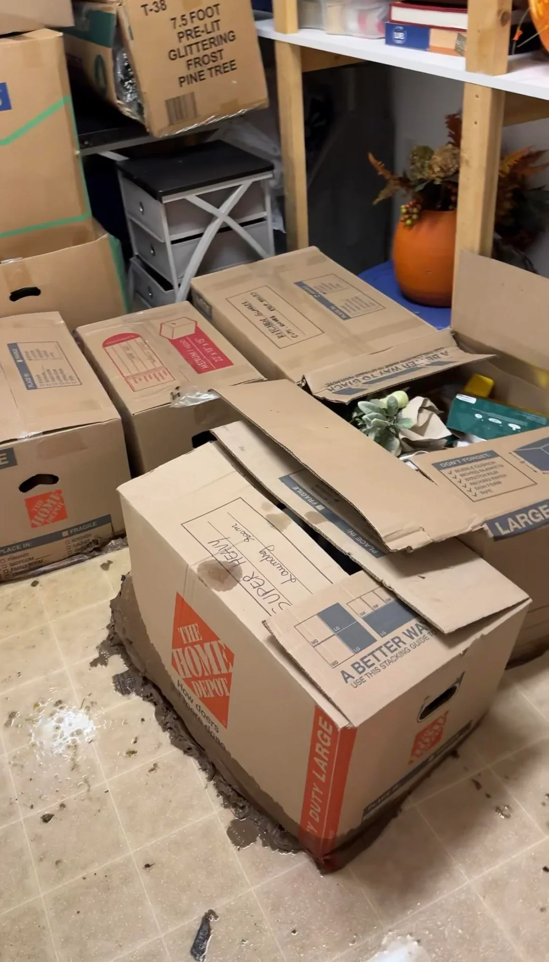 photo-1761711558794 photo-1761711558794