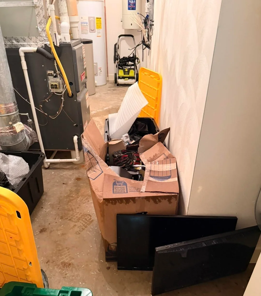 photo-1761711566671 photo-1761711566671