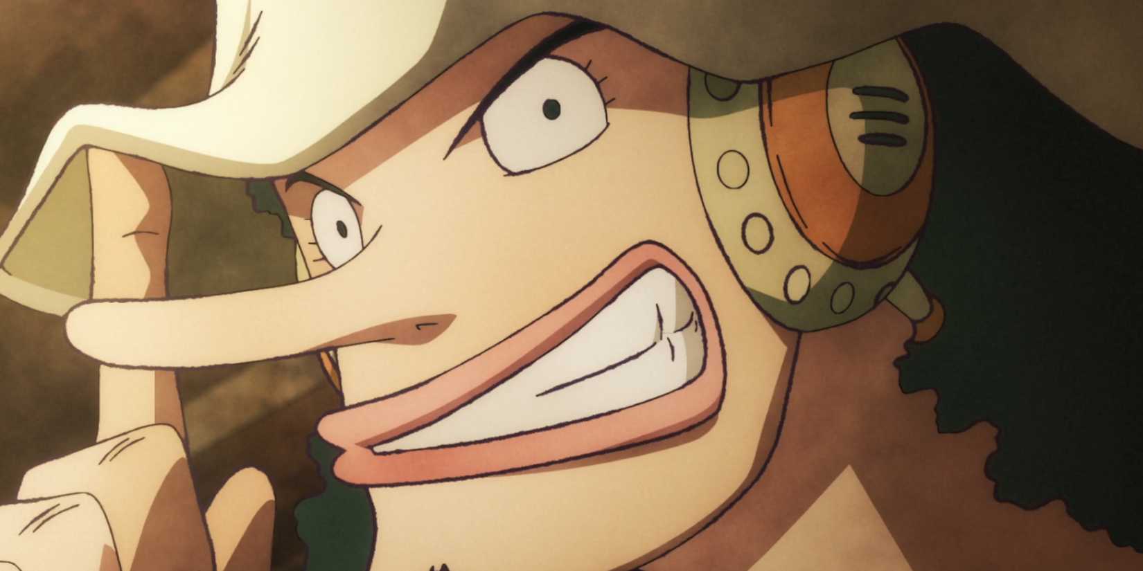 One Piece: Oda tiết lộ một thành viên băng Mũ Rơm sẽ thành lập băng riêng- Ảnh 3.