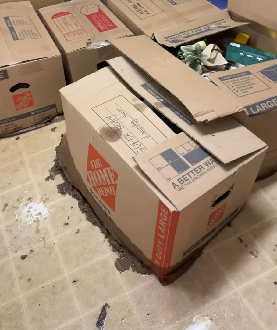 Cay đắng: Bộ sưu tập Pokémon TCG trị giá hàng ngàn USD mất trắng sau 3 ngày bị ngâm nước thải- Ảnh 1. Cay đắng: Bộ sưu tập Pokémon TCG trị giá hàng ngàn USD mất trắng sau 3 ngày bị ngâm nước thải- Ảnh 1.