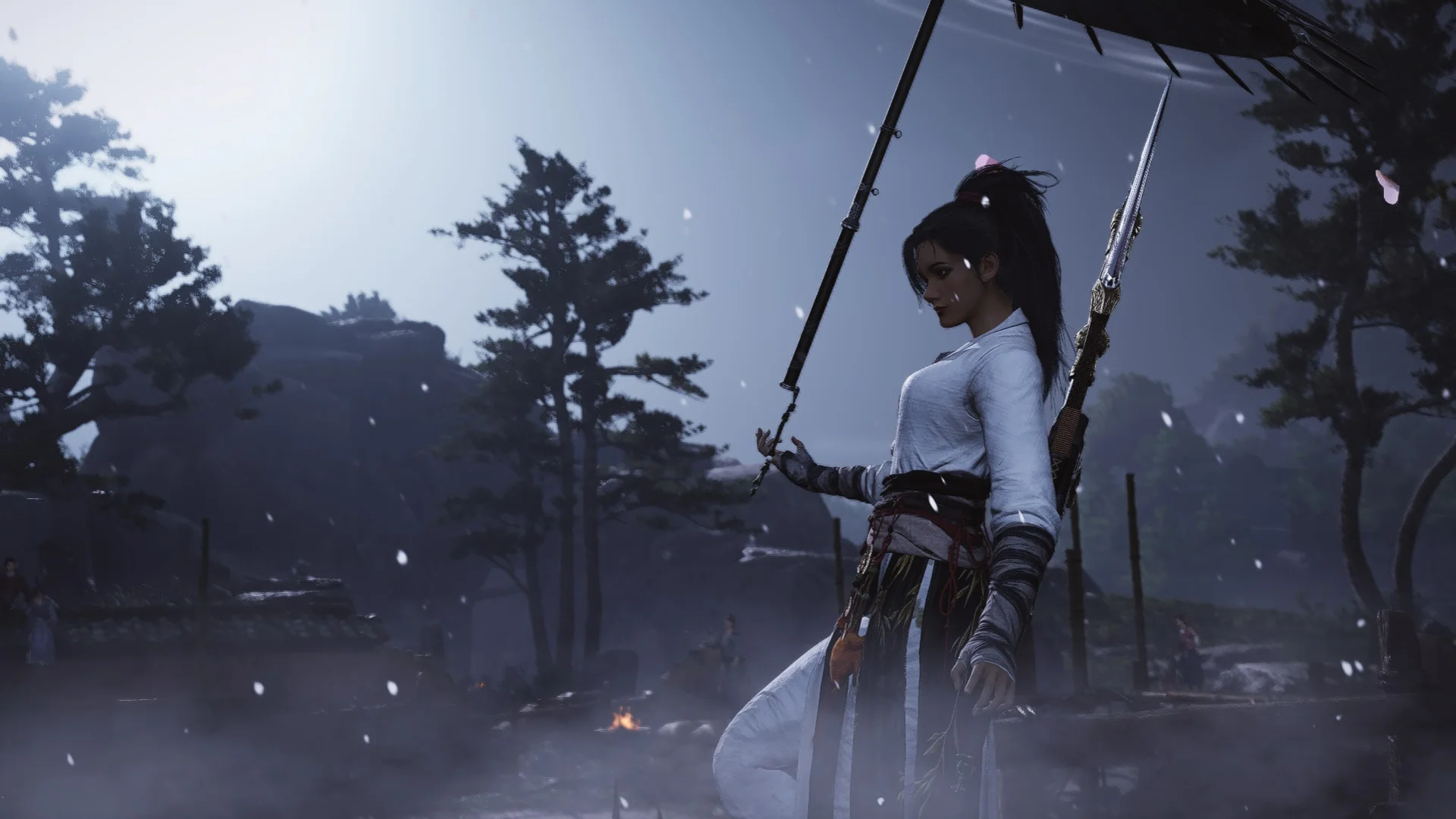 photo-1763352741284 photo-1763352741284