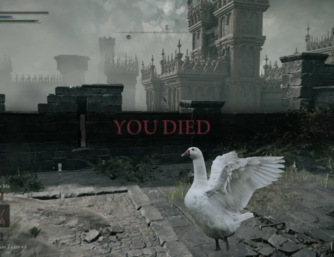 photo-1763606314483 photo-1763606314483