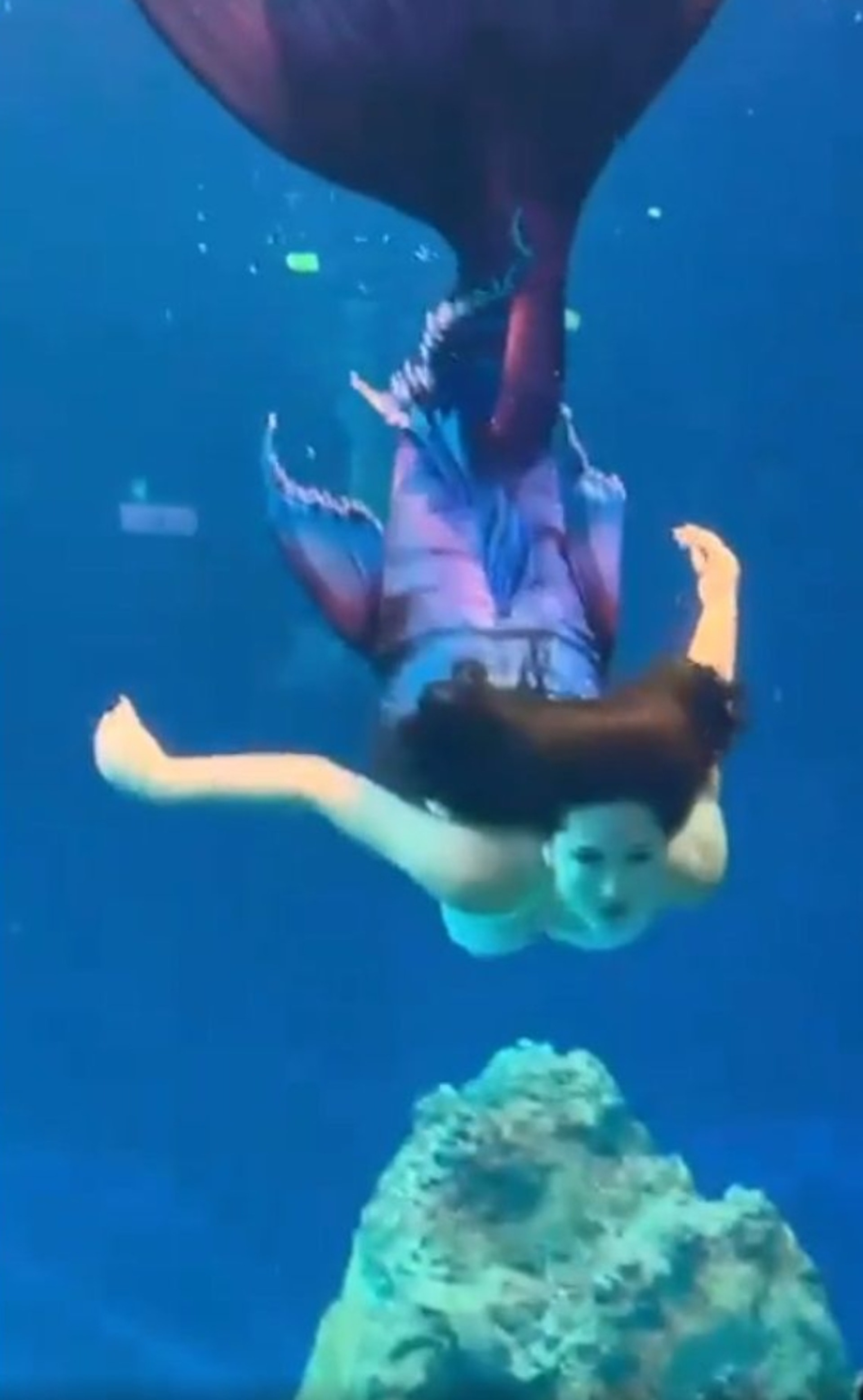 photo-1764305712313 photo-1764305712313