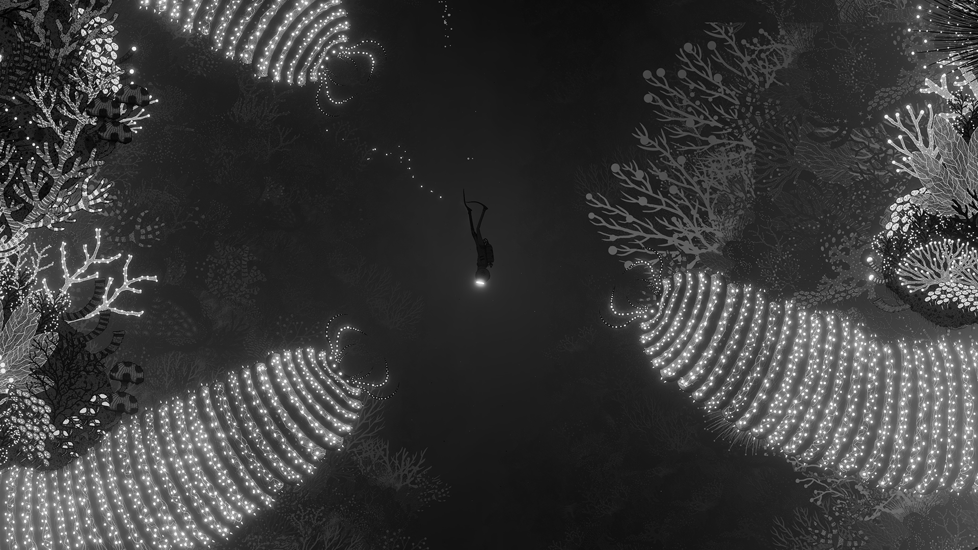 photo-1765817509948 photo-1765817509948