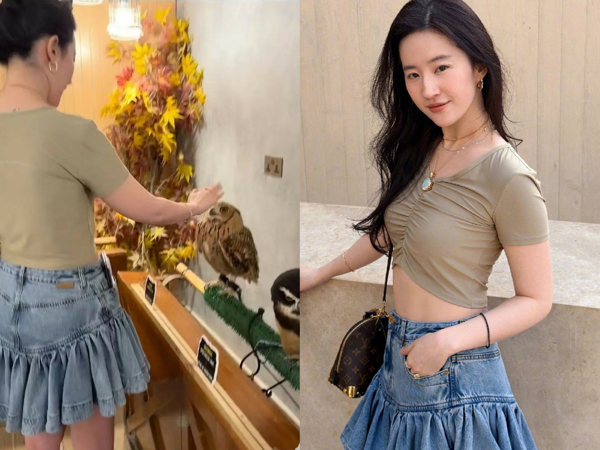 Thân hình Thân hình