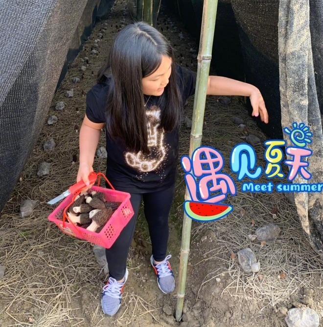 Sao nhí Bố ơi mình đi đâu thế 16 tuổi đã có Rolls-Royce riêng, vi vu bằng Maybach 56 tỷ- Ảnh 5.