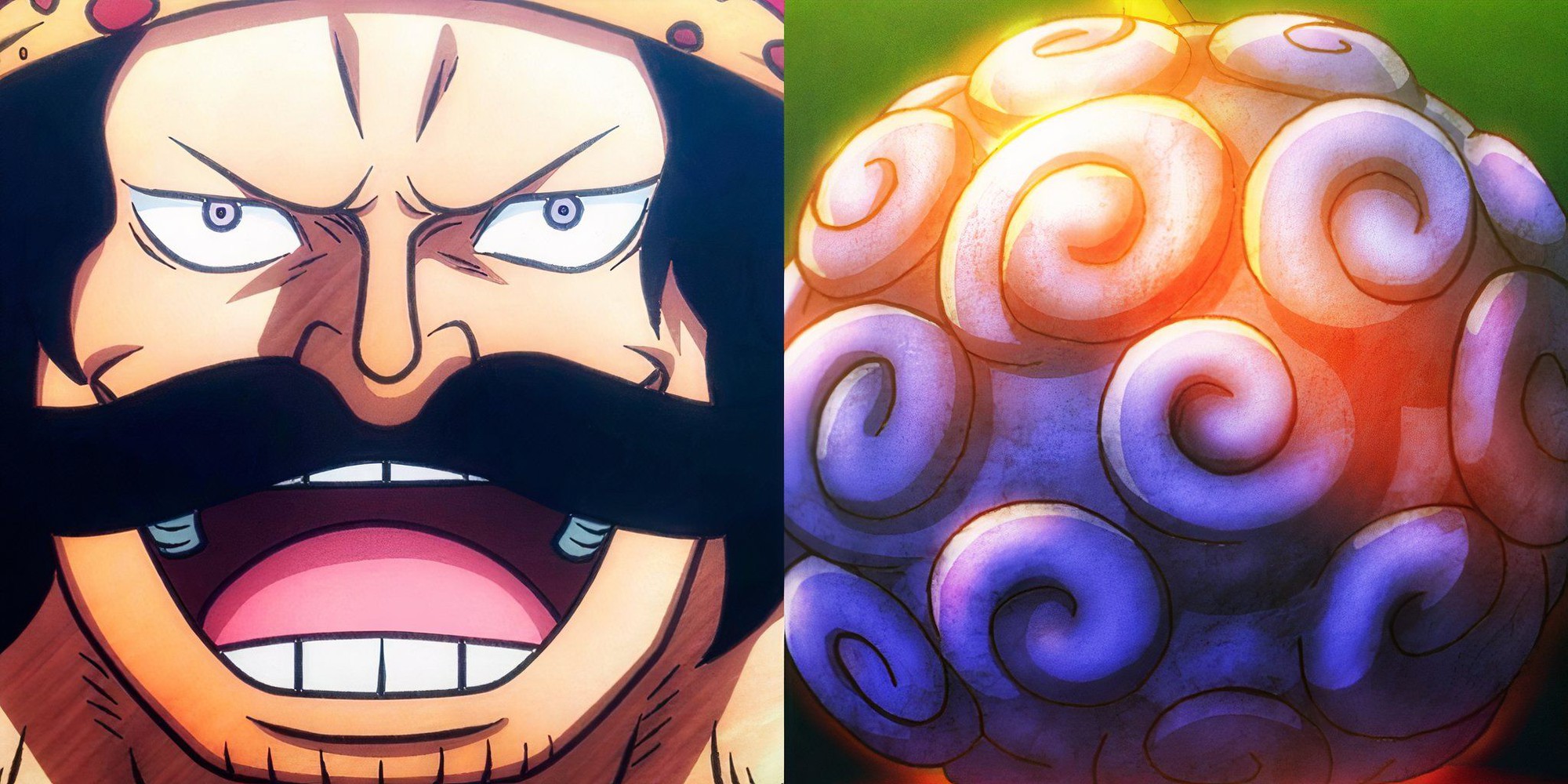 One Piece: Tại sao trái ác quỷ Gomu Gomu no Mi lại từ chối Gol D. Roger?- Ảnh 3.