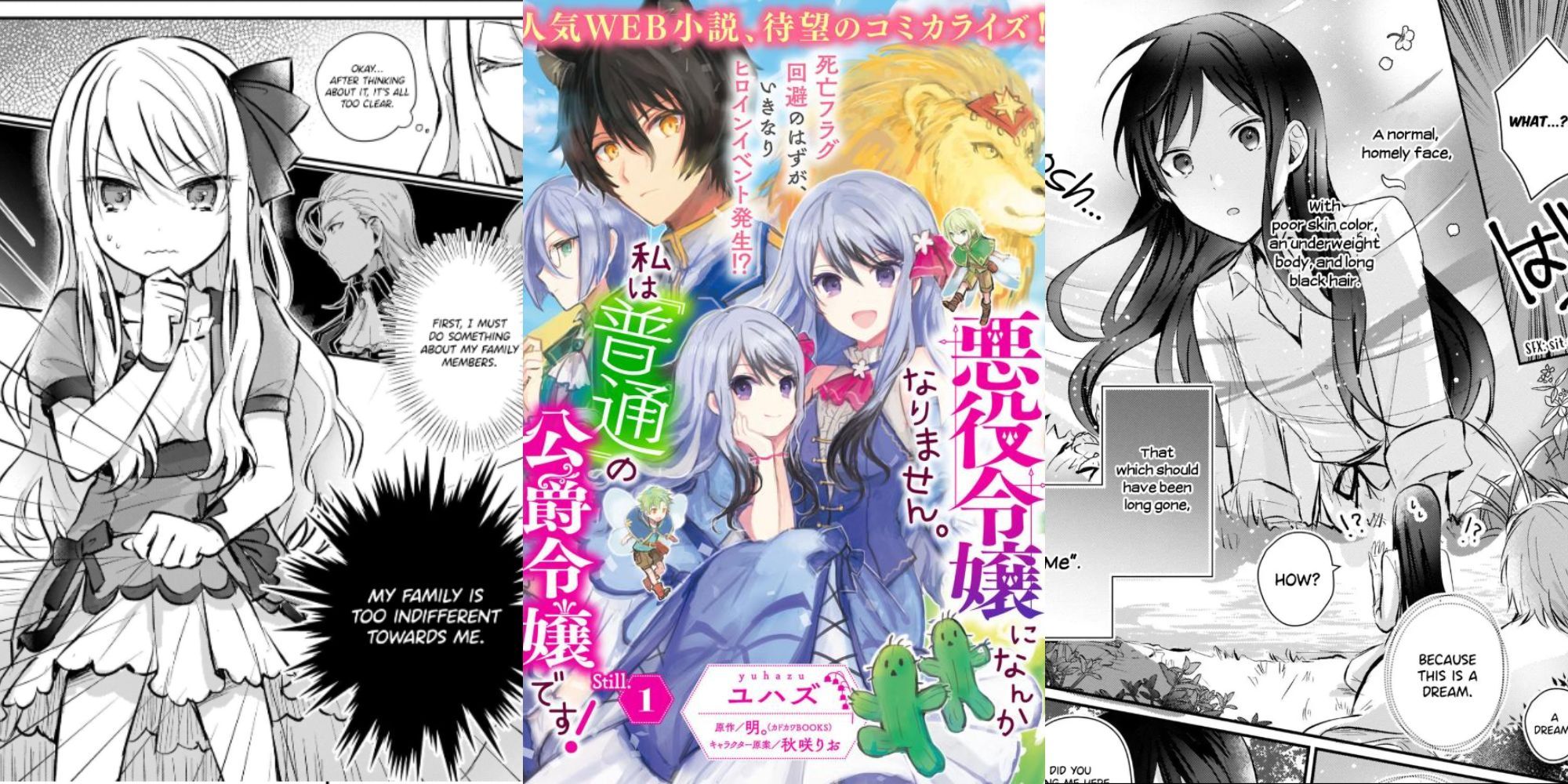 8 bộ manga Isekai có khả năng sẽ không được hoàn thành- Ảnh 4. 8 bộ manga Isekai có khả năng sẽ không được hoàn thành- Ảnh 4.