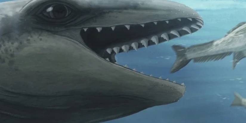 Sốc: Các nhà khoa học tìm thấy một con cá voi 26 triệu năm tuổi trông giống hệt một Pokémon- Ảnh 1.