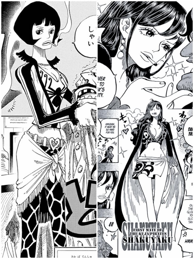 Fan One Piece trầm trồ trước nhan sắc từng khiến Vua hải tặc Roger si mê của nữ hoàng Kuja- Ảnh 3.