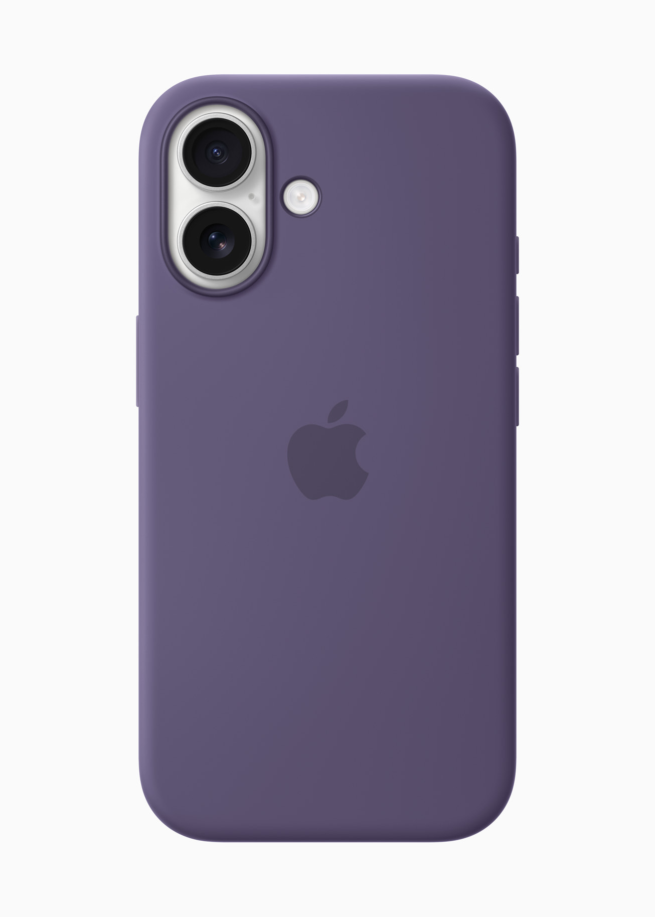 Apple ra mắt iPhone 17 - Đã có màn hình 120Hz, hiệu năng trên giá tiền đáng mong chờ- Ảnh 8.