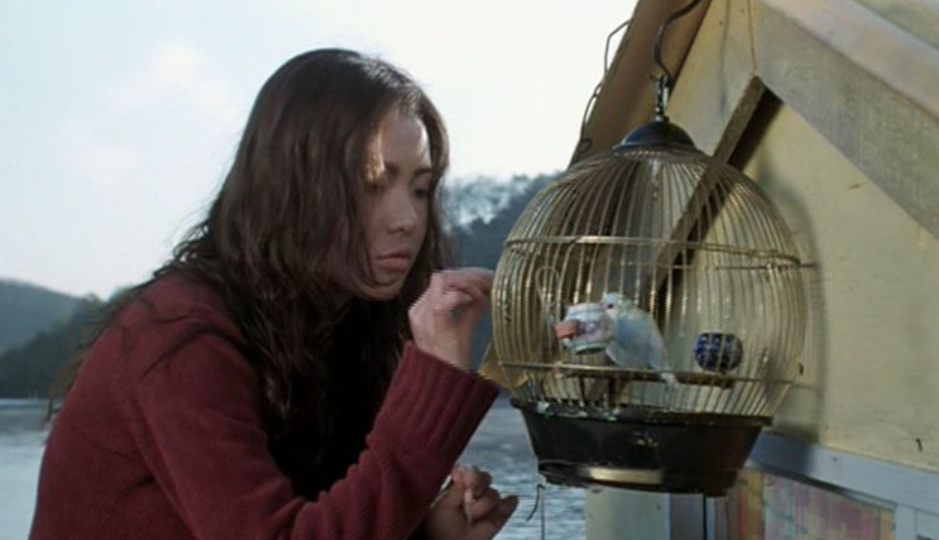 Phim 18+ Hàn Quốc là kiệt tác gây sốc nhất thế kỷ 21: Cảnh nóng quá gắt, 25 năm vẫn tranh cãi- Ảnh 4. Phim 18+ Hàn Quốc là kiệt tác gây sốc nhất thế kỷ 21: Cảnh nóng quá gắt, 25 năm vẫn tranh cãi- Ảnh 4.