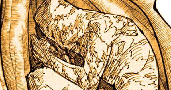 Giả thuyết chấn động: Tengen là người ngoài hành tinh đầu tiên trong Jujutsu Kaisen?- Ảnh 3. Giả thuyết chấn động: Tengen là người ngoài hành tinh đầu tiên trong Jujutsu Kaisen?- Ảnh 3.