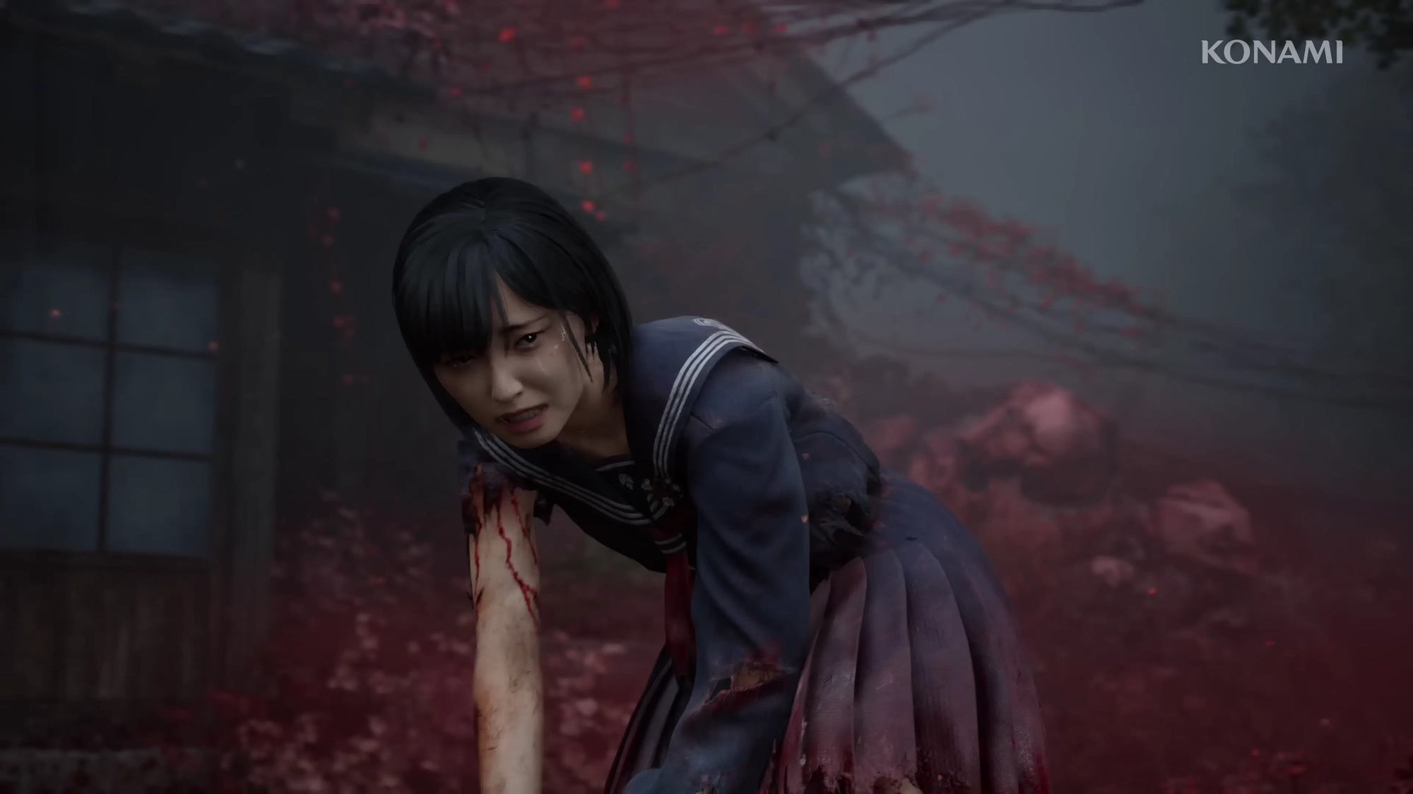 photo-1758612665498 photo-1758612665498