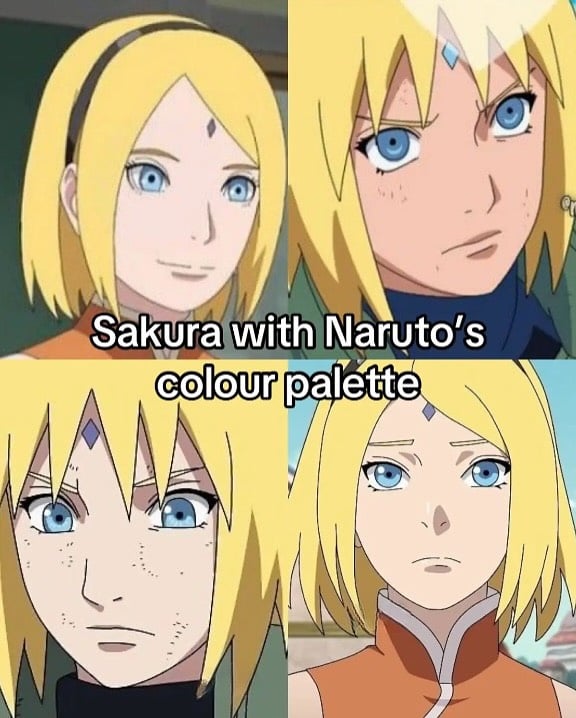 Fan Boruto 