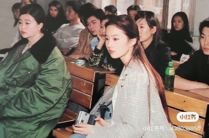 Không ai tin đây là Lưu Diệc Phi- Ảnh 3.