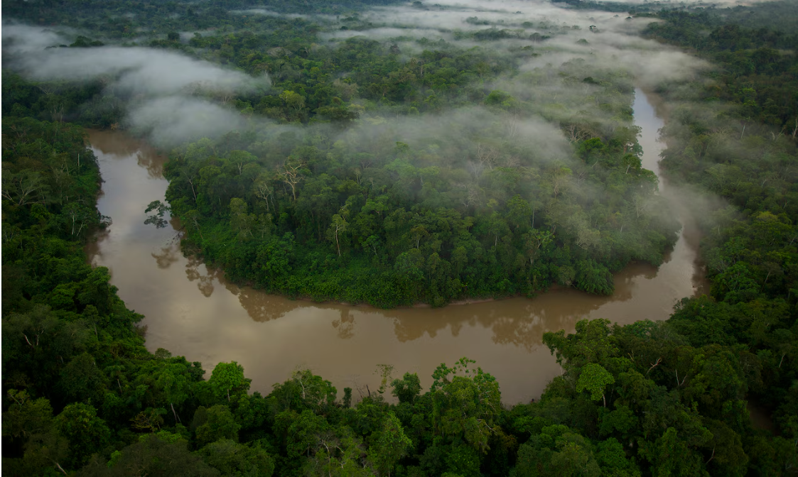 Will Smith chạm trán nghẹt thở với loài rắn khổng lồ mới ở Amazon: Dài tới 5m, cơ thể dày ngang thân cây- Ảnh 1.