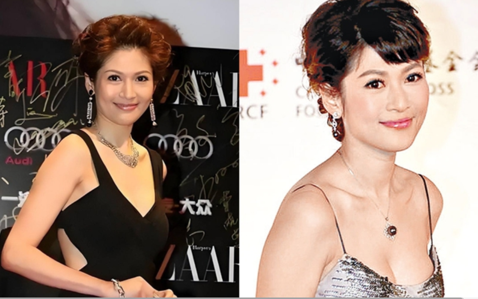 Dàn mỹ nhân khiến hội phu nhân hào môn nghe tên đã tái mặt, nhan sắc vô hạn nhưng ăn gạch đá từ công chúng- Ảnh 4. Dàn mỹ nhân khiến hội phu nhân hào môn nghe tên đã tái mặt, nhan sắc vô hạn nhưng ăn gạch đá từ công chúng- Ảnh 4.