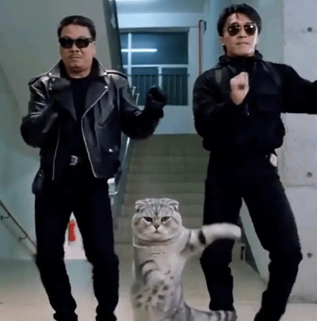 "Vua hài" Châu Tinh Trì trở thành nạn nhân số 1 của AI- Ảnh 1. "Vua hài" Châu Tinh Trì trở thành nạn nhân số 1 của AI- Ảnh 1.