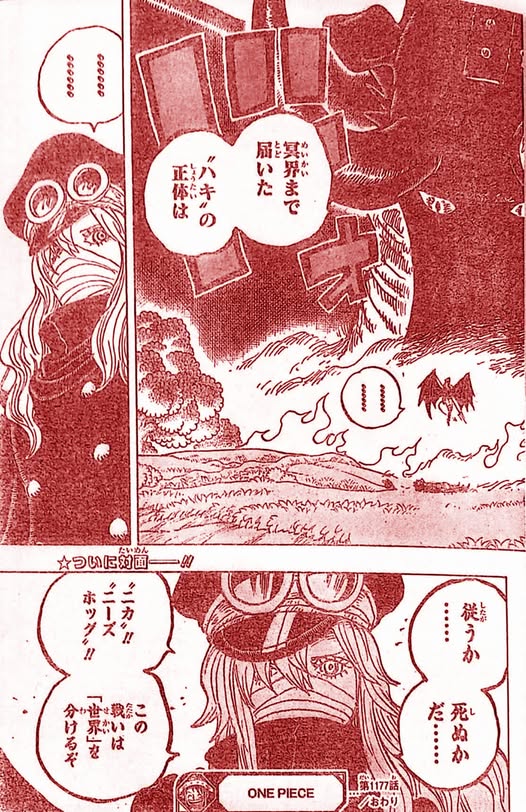 One Piece 1177: Luffy và Loki liên minh đại chiến Imu, Usopp gục ngã tại Elbaph- Ảnh 5.