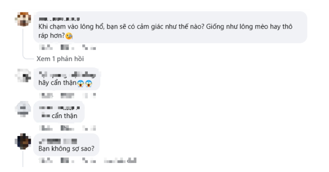 Quay video ngay bên cạnh thú dữ, hot girl khiến người xem "nhăn mặt" vì quá liều lĩnh- Ảnh 5.