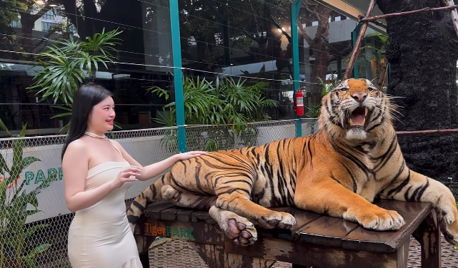 Quay video ngay bên cạnh thú dữ, hot girl khiến người xem "nhăn mặt" vì quá liều lĩnh- Ảnh 1.