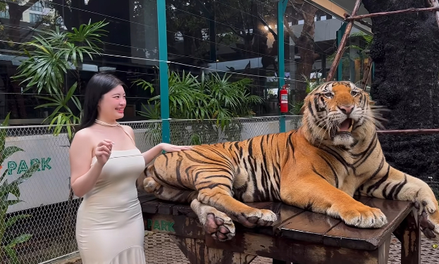 Quay video ngay bên cạnh thú dữ, hot girl khiến người xem "nhăn mặt" vì quá liều lĩnh- Ảnh 2.