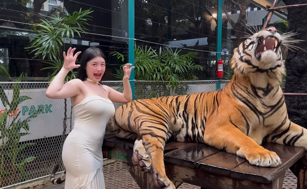 Quay video ngay bên cạnh thú dữ, hot girl khiến người xem "nhăn mặt" vì quá liều lĩnh- Ảnh 4.
