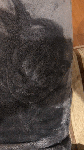 Đỉnh cao "rảnh rỗi sinh nông nỗi": Nam nghệ sĩ vẽ cả vũ trụ Dragon Ball lên... quần nỉ, nhìn kết quả mà dân mạng chỉ biết quỳ lạy!- Ảnh 1.