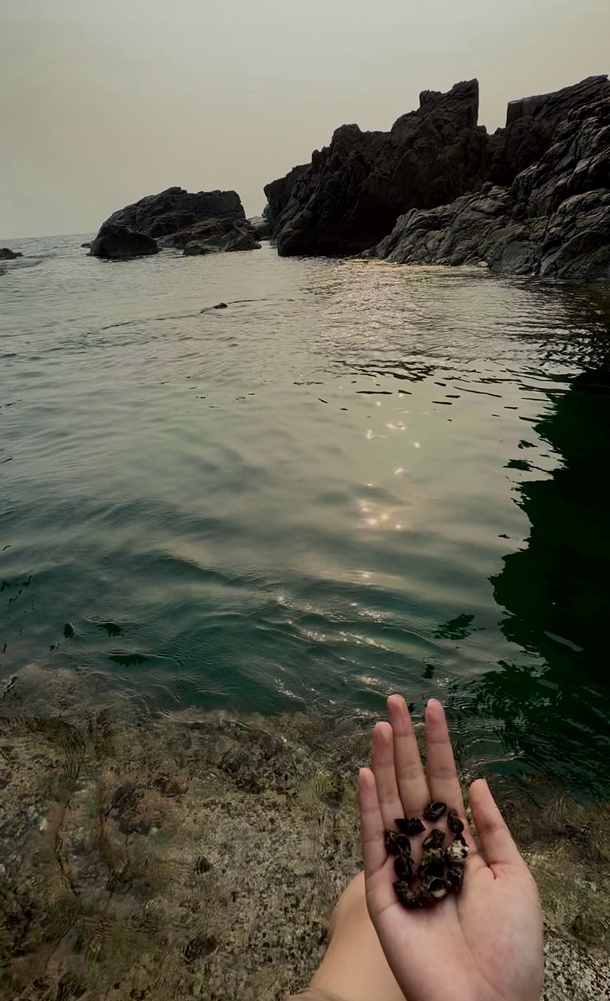 Mê mẩn với bộ ảnh Trekking đẹp như phim của hot girl xinh đẹp- Ảnh 6.