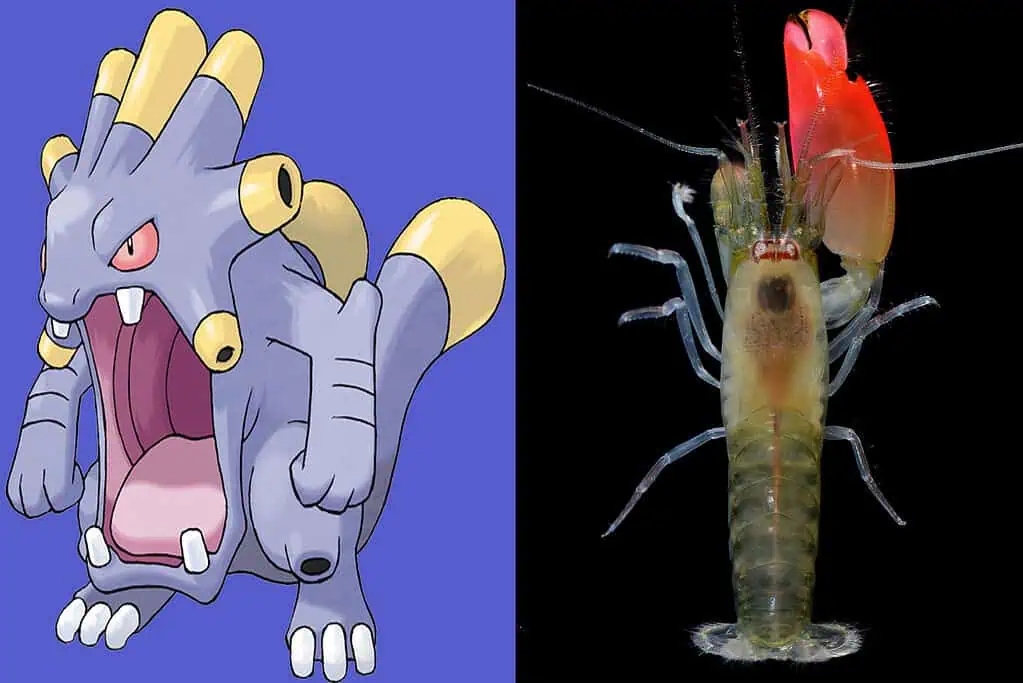 Bí ẩn về 7 loài động vật có sức mạnh tương đồng với Pokémon huyền thoại- Ảnh 5. Bí ẩn về 7 loài động vật có sức mạnh tương đồng với Pokémon huyền thoại- Ảnh 5.