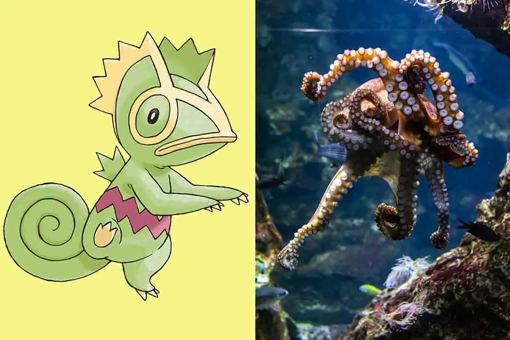 Bí ẩn về 7 loài động vật có sức mạnh tương đồng với Pokémon huyền thoại- Ảnh 2. Bí ẩn về 7 loài động vật có sức mạnh tương đồng với Pokémon huyền thoại- Ảnh 2.