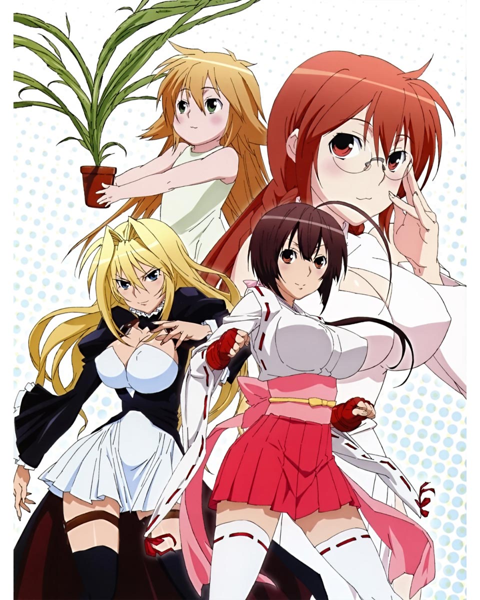 Không chỉ có fanservice, đây là những bộ anime hành động Harem nhất định phải xem- Ảnh 3.