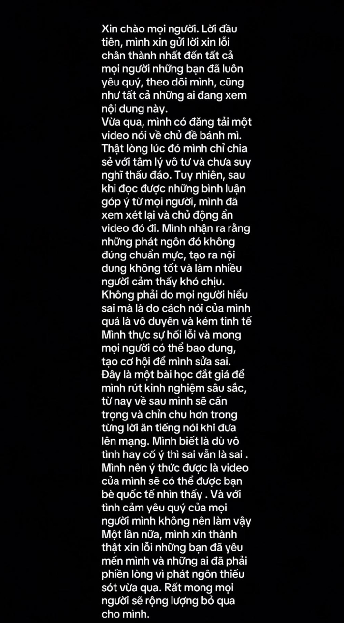 Phát ngôn “chỉ đói khát, khổ cực mới ăn bánh mì”: TikToker 3,1 triệu followers xin lỗi, thừa nhận mình vô duyên- Ảnh 3.