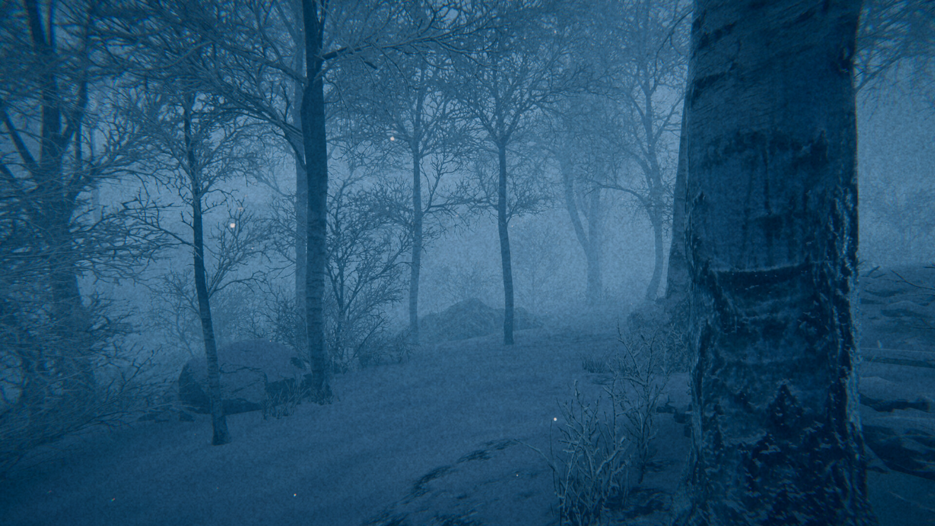 photo-1778816625351