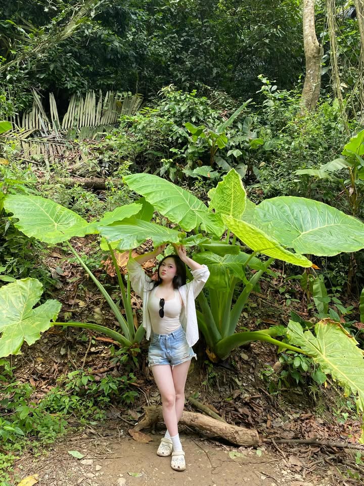 Bộ ảnh "núi rừng" không góc chết của hot girl xinh đẹp, hot rần rần MXH những ngày vừa qua- Ảnh 2.