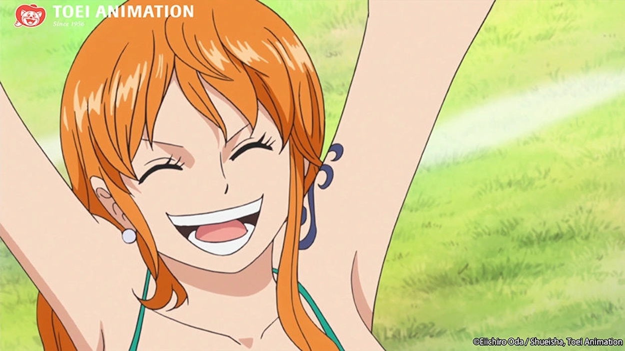 15 sự thật ngỡ ngàng về Nami trong One Piece: Bản gốc suýt là người máy- Ảnh 13.