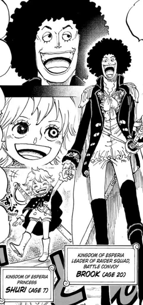 One Piece chương 1183 tiết lộ chấn động về quá khứ của Brook sau 19 năm giấu kín- Ảnh 1.