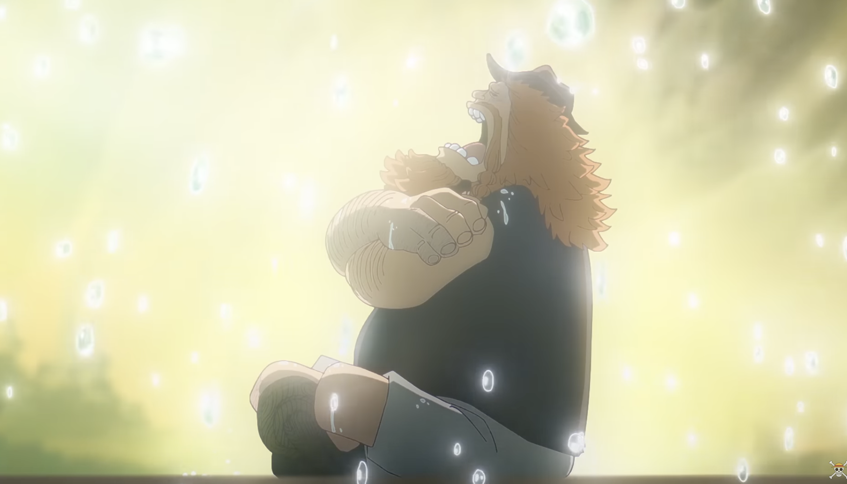 One Piece tập 1163: Cuộc hội ngộ đẫm nước mắt sau 22 năm của Robin - Saul, Toei đã làm một điều đặc biệt- Ảnh 4.
