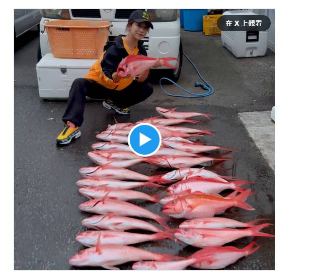 "Thiên thần nụ cười" Niko Kawagoe gây sốt: Một mình đi biển câu 34 con cá về nấu cho fan ăn- Ảnh 4. "Thiên thần nụ cười" Niko Kawagoe gây sốt: Một mình đi biển câu 34 con cá về nấu cho fan ăn- Ảnh 4.