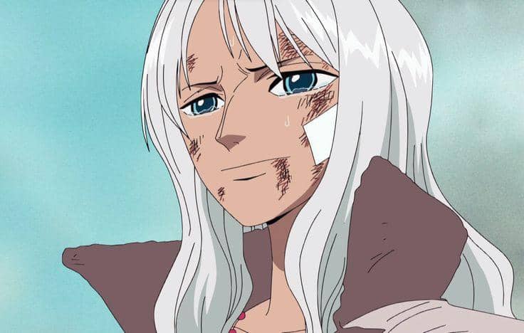 8 sự thật về Nico Olvia: Người mẹ học thức và kiên cường của Robin trong One Piece- Ảnh 8.