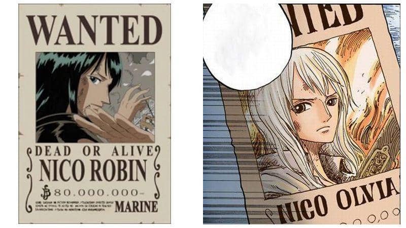 8 sự thật về Nico Olvia: Người mẹ học thức và kiên cường của Robin trong One Piece- Ảnh 5.