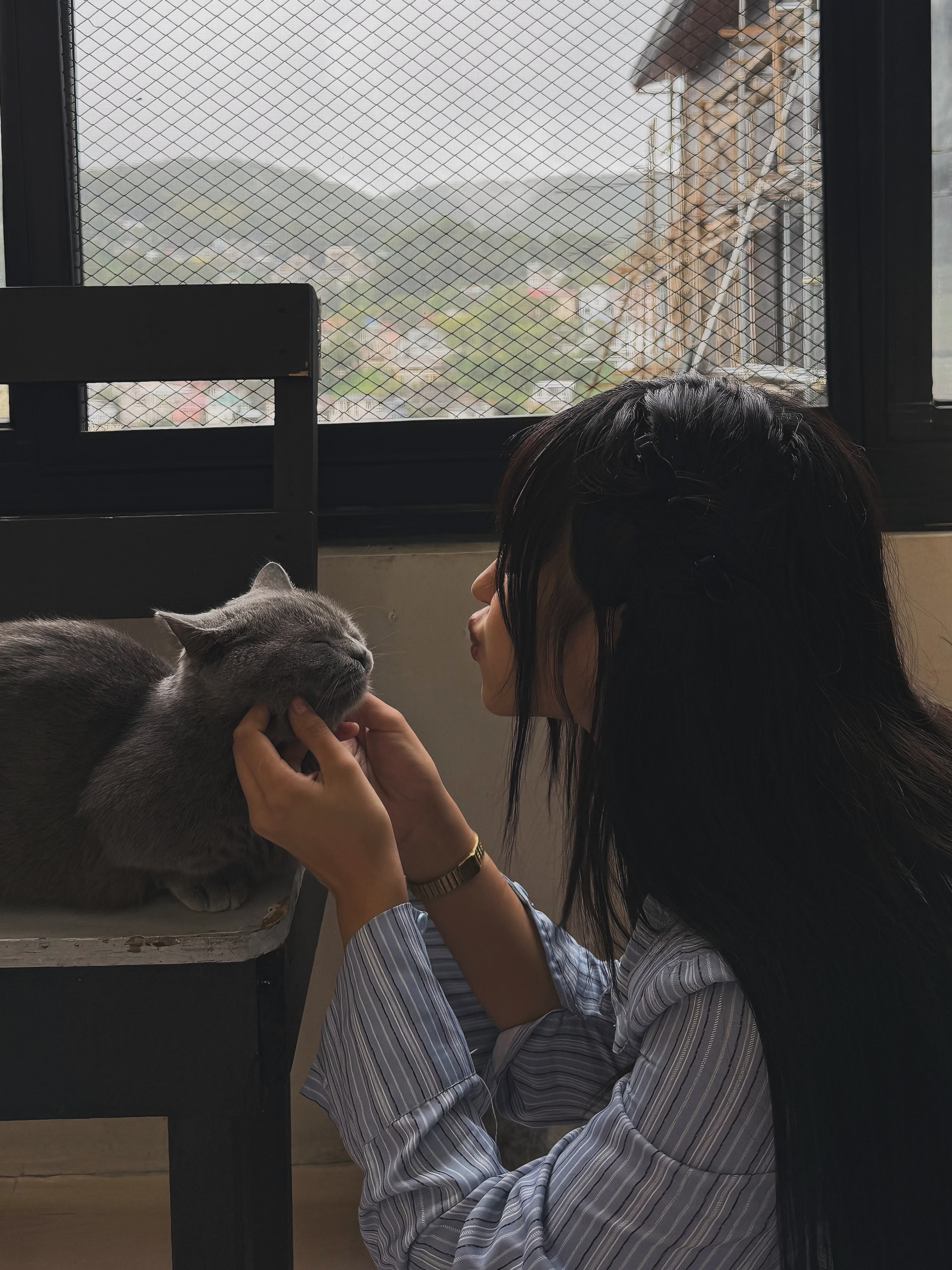 Cafe mèo dễ thương như thế này, bảo sao hội chị em không "rẩn rần" đổ xô đi check-in?- Ảnh 1.