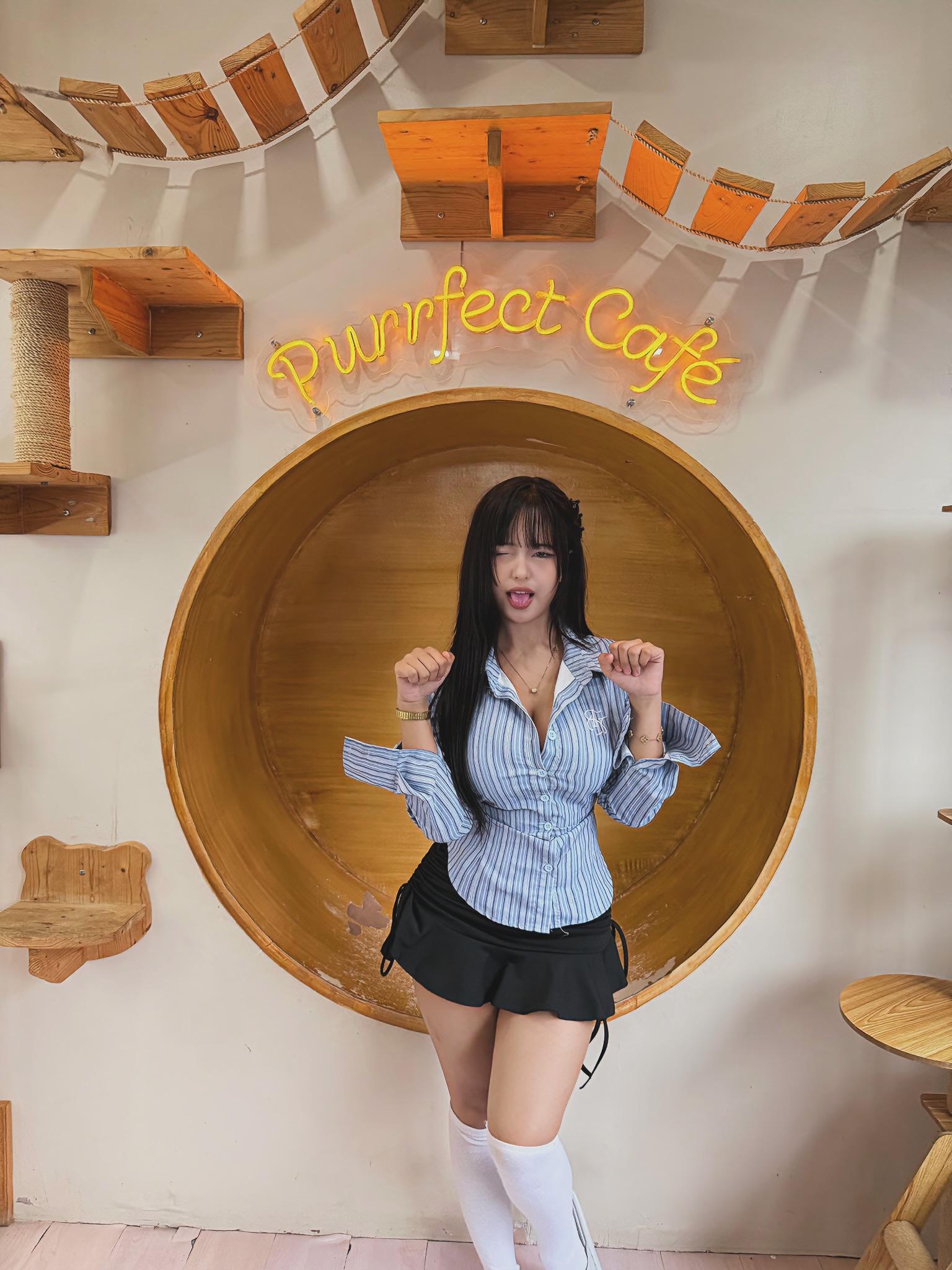 Cafe mèo dễ thương như thế này, bảo sao hội chị em không "rẩn rần" đổ xô đi check-in?- Ảnh 2.