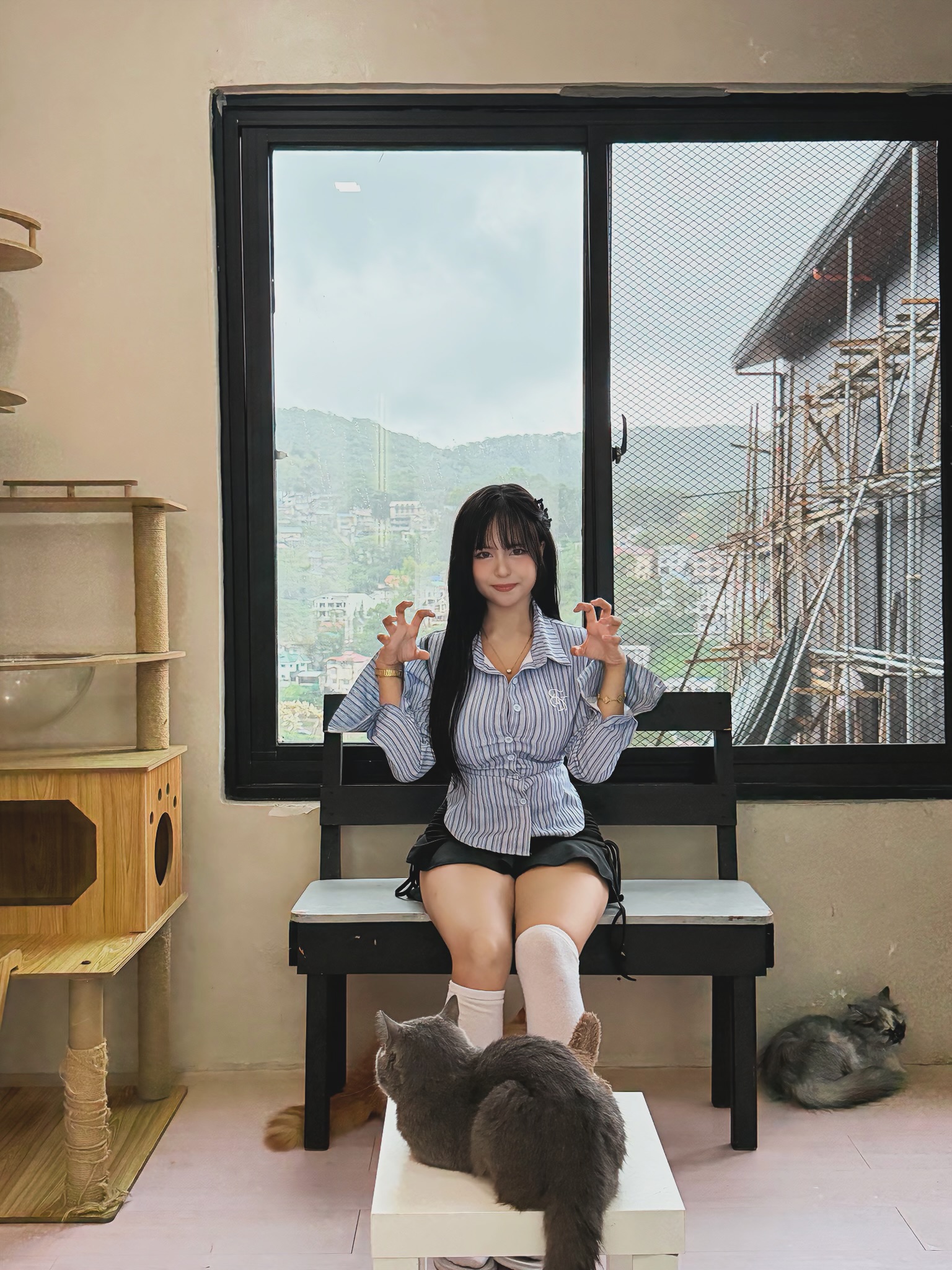 Cafe mèo dễ thương như thế này, bảo sao hội chị em không "rẩn rần" đổ xô đi check-in?- Ảnh 3.
