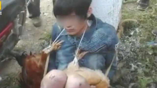  Sau khi chiến thắng, 2 nam thanh niên Trung Quốc đi trộm gà để ăn mừng 